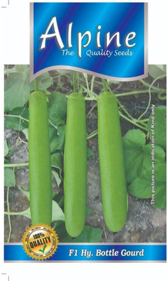 ALPINE HYBRIDE SEEDS Bottle Gourd. Seed(70 per packet)
