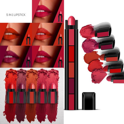 MYEONG Smudge Proof & Kiss Proof Multi Color 5in1 Lipstick(multi color, 6 g)