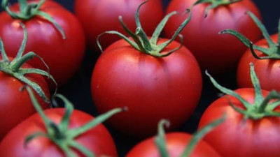 Cloud Farm Tomato Seeds Seed(40 per packet)