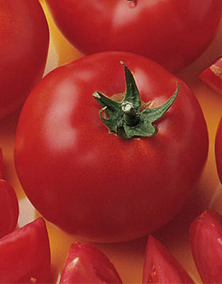 Cloud Farm Tomato Seeds Seed(35 per packet)