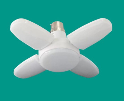 LACT ENTERPRISE Ceiling Light Ceiling Lamp(White)