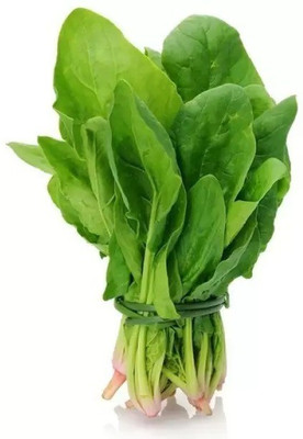 Chalisa Palak, Spinach Seed(35 per packet)