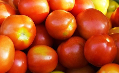 Cloud Farm Tomato Seeds Seed(45 per packet)