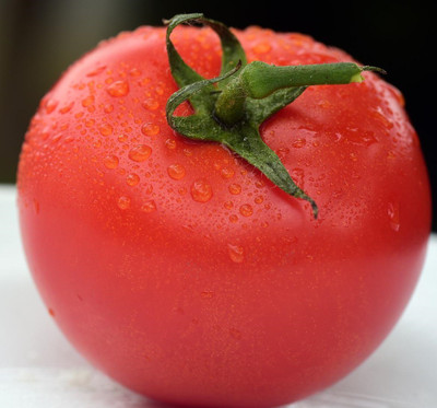 Cloud Farm Tomato Seeds Seed(45 per packet)