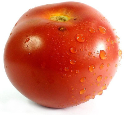 Cloud Farm Tomato Seeds Seed(45 per packet)