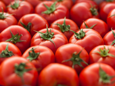 Cloud Farm Tomato Seeds Seed(35 per packet)