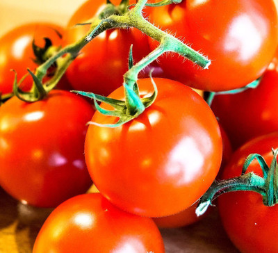 Cloud Farm Tomato Seeds Seed(35 per packet)