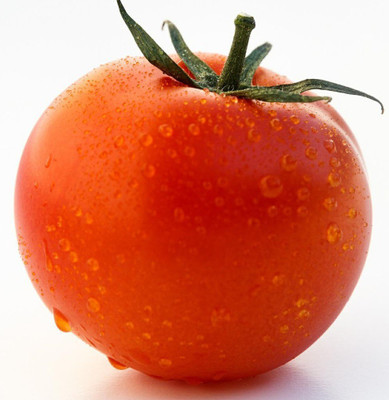 Cloud Farm Tomato Seeds Seed(45 per packet)