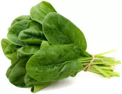 Chalisa Palak, Spinach Seed(120 per packet)