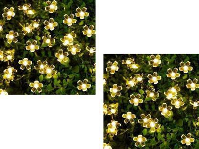 ECOSKY 16 LEDs 198 inch Gold Steady Flower Rice Lights(Pack of 2)