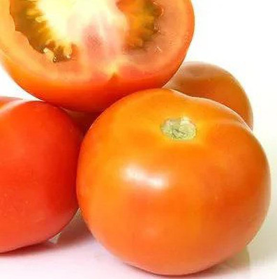 Cloud Farm Tomato Seeds Seed(30 per packet)