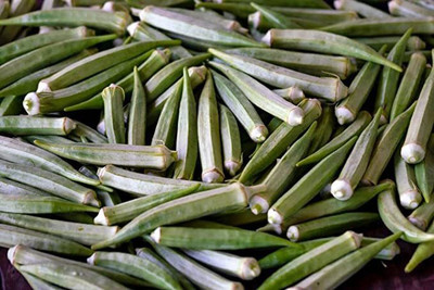 KANAYA Okra Seed(425 per packet)