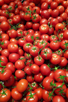Cloud Farm Tomato Seeds Seed(30 per packet)