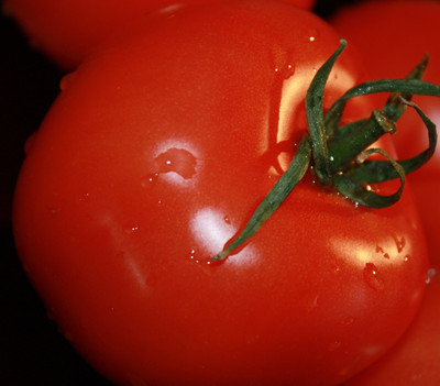 Cloud Farm Tomato Seeds Seed(30 per packet)