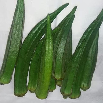 KANAYA Okra Seed(725 per packet)