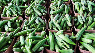 KANAYA Bhindi Seed(125 per packet)
