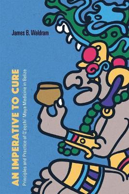 An Imperative to Cure(English, Paperback, Waldram James B.)