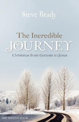 The Incredible Journey(English, Paperback, Brady Steve)
