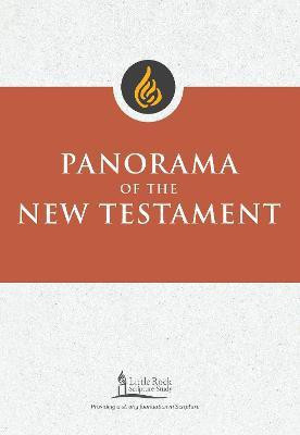Panorama of the New Testament(English, Paperback, Binz Stephen J.)