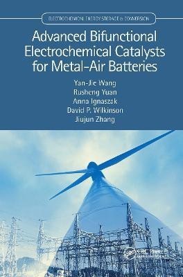 Advanced Bifunctional Electrochemical Catalysts for Metal-Air Batteries(English, Hardcover, Wang Yan-Jie)