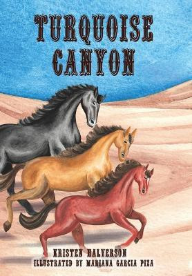 Turquoise Canyon(English, Hardcover, Halverson Kristen)