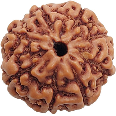 RamG 8 Mukhi Rudraksha 18-20 MM Heavy-1 Very Fine Wood Pendant