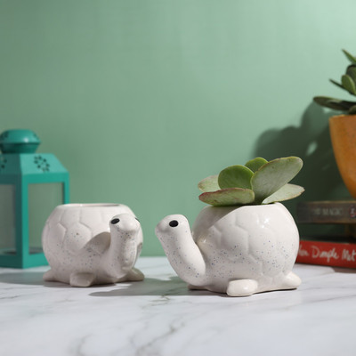 Jimkia Ceramic Planter Pot, Couple Of Turtle Pot For Succulent Plants, Two Flower Pot. Plant Container Set(Pack of 2, Ceramic)