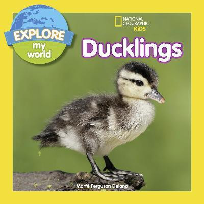 Explore My World: Ducklings(English, Paperback, Ferguson Delano Marfe)