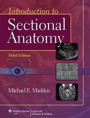 Introduction to Sectional Anatomy(English, Hardcover, Madden Michael)