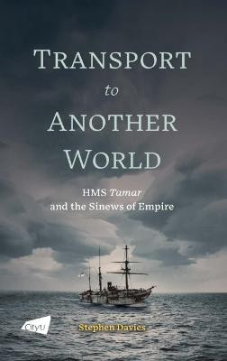 Transport to Another World(English, Paperback, Davies Stephen)