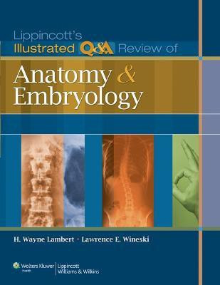 Lippincott's Illustrated Q&A Review of Anatomy and Embryology(English, Paperback, Lambert H. Wayne PhD)