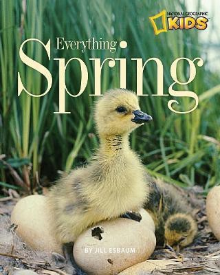 Everything Spring(English, Paperback, Esbaum Jill)