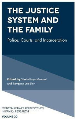 The Justice System and the Family(English, Hardcover, unknown)