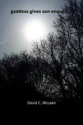 goddess carries sun enough(English, Paperback, McLean David C)