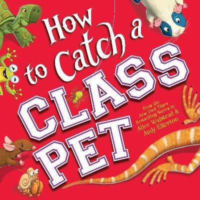 How to Catch a Class Pet(English, Hardcover, Walstead Alice)
