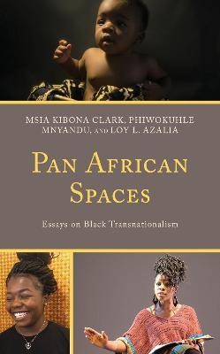 Pan African Spaces(English, Hardcover, unknown)