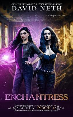 Enchantress(English, Paperback, Neth David)