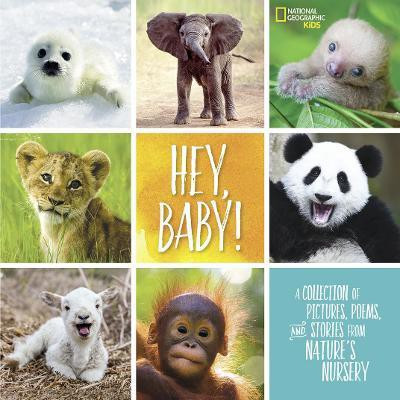 Hey, Baby!(English, Hardcover, National Geographic Kids Stephanie)
