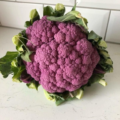 Gromax India F1 Hybrid Cauliflower Purple Vegetable Seed For Home Gardening Pack Of 40 Seed(40 per packet)