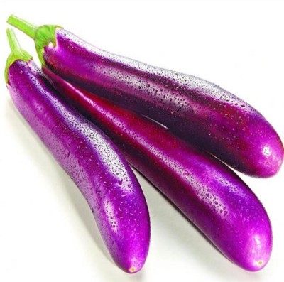 XOLDA Brinjal purple long Seed(28 per packet)