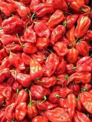 Cloud Farm Chilli Seeds Seed(100 per packet)