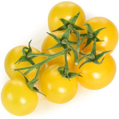 XOLDA Tomato Yellow Seed(37 per packet)