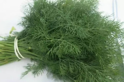 Aro Dill, Soya Seed(40 per packet)