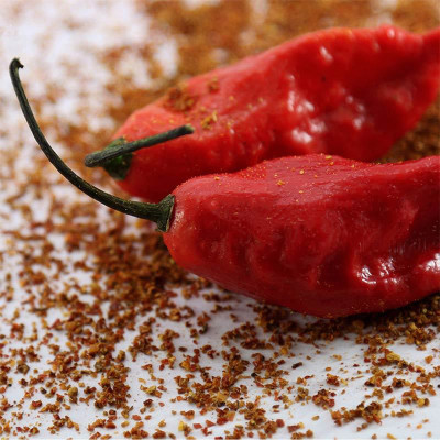 Cloud Farm Chilli Seeds Seed(100 per packet)