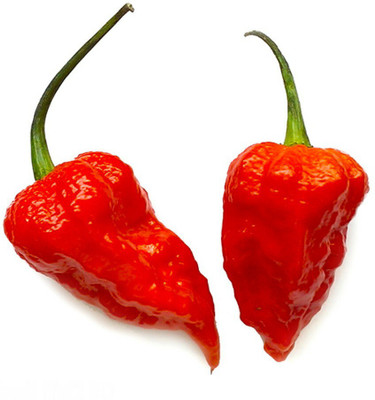 Cloud Farm Chilli Seeds Seed(100 per packet)