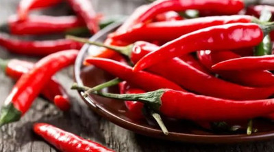Cloud Farm Chilli Seeds Seed(90 per packet)