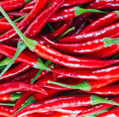 Cloud Farm Chilli Seeds Seed(100 per packet)