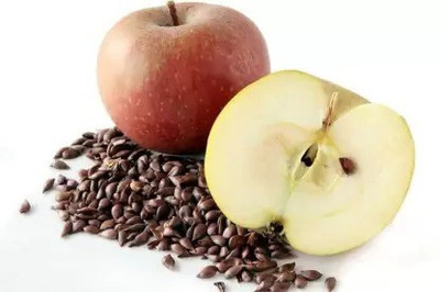 Aro Apple Seed(10 per packet)