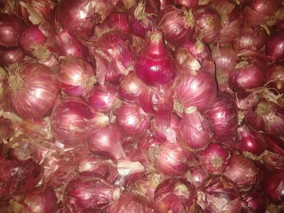 Mozette Hybrid Onian Seed(65 per packet)