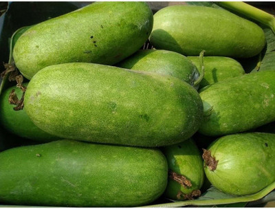 Mozette Hybrid Ash gourd Seed(50 per packet)